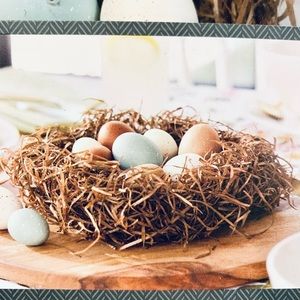 11 pc EASTER EGGS & NEST New